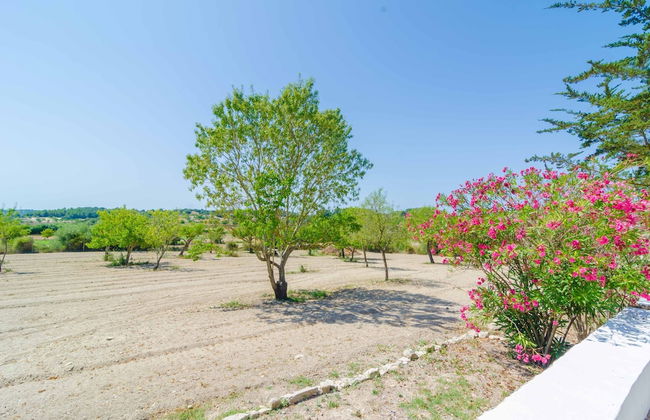 Sa Rota (Den Joan Porrerenc) - Foto 49