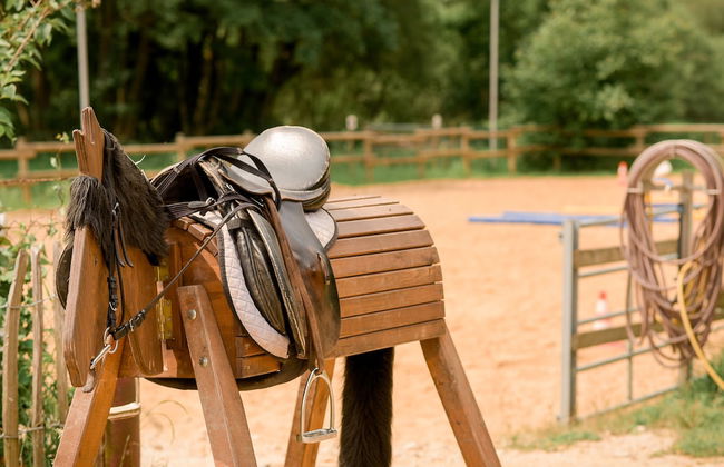Nengshof - Haus Ehrenpreis - Foto 10