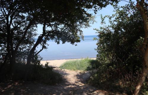 Ostseeferienhaus California - Foto 62