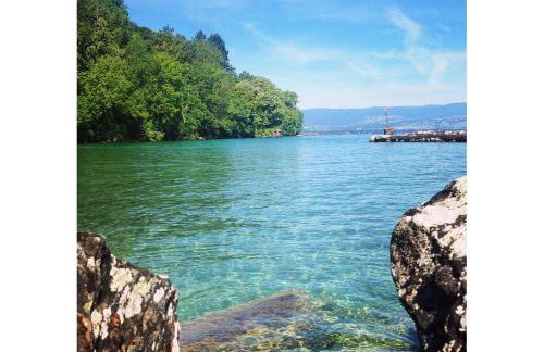 Le chalet du Leman - Vue lac - Yvoire - Foto 17
