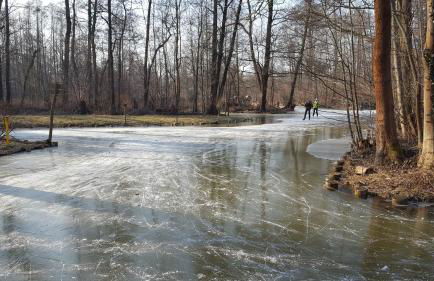 Spreewaldhaus zum Schoberplatz - Foto 51