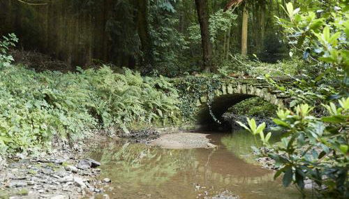 Bull Hollow Cottage - Foto 5