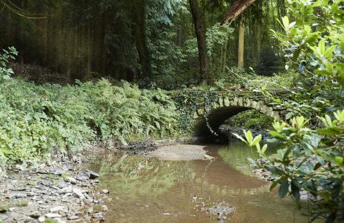 Bull Hollow Cottage - Foto 5