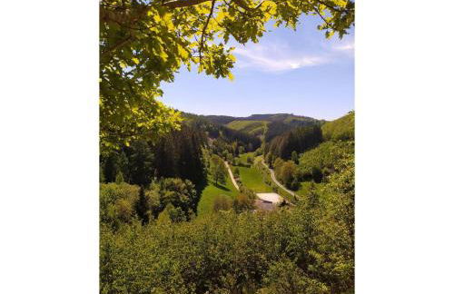 Ferienwohnung Sauerland Burgfenster - Foto 24