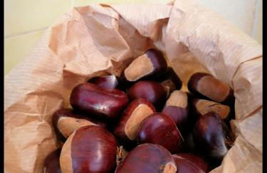 Appartamento La Foresta Abetone - Foto 9