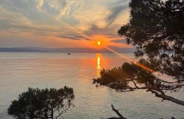 APARTMAN IVONA U PRIZEMLJU - Foto 38