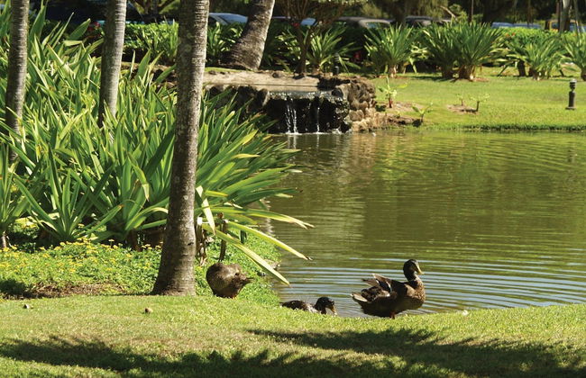 Kauai Beach Villas - Foto 41