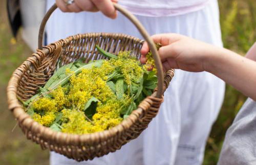 Schloss Blankensee exklusiv - Foto 31