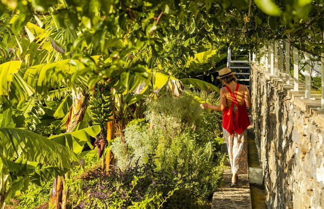 Casa da Vargem I, Pool for Small Families - Photo 30