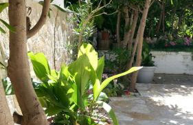 Sol apartman - Photo 26