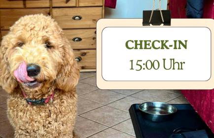 Hundeurlaub - Tiny House im Wald - Foto 17