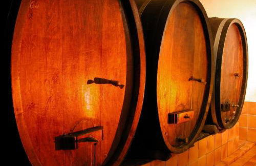 La maison du Vignoble - Foto 32