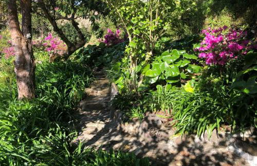 Flores Garden Retreat - Foto 34