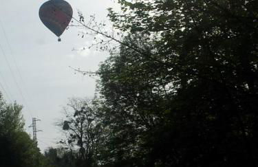 La Rectoral - Foto 26