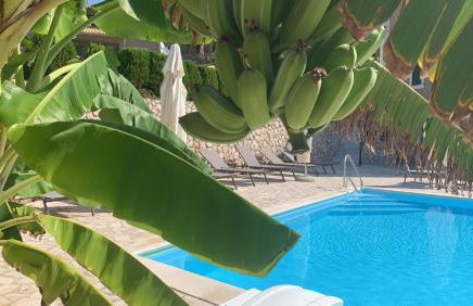 Katarina Apartments Kefalonia - Sea View - Foto 6