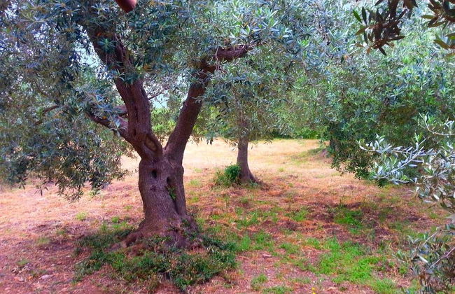 Holiday Home Monte Argentario Sea Views - Foto 23