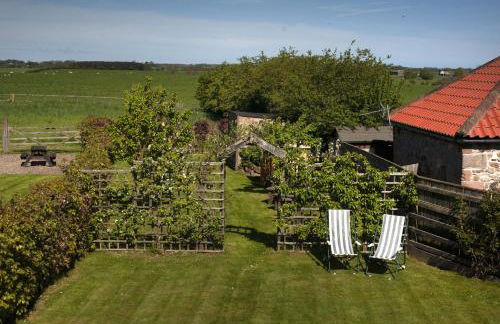 The Apple Store - Photo 11