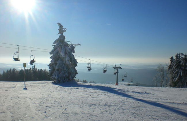 Holiday Home our Little Hunting Lodge - Photo 8