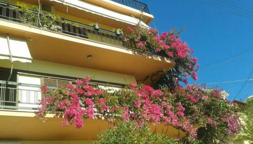 Elmar House - Foto 4