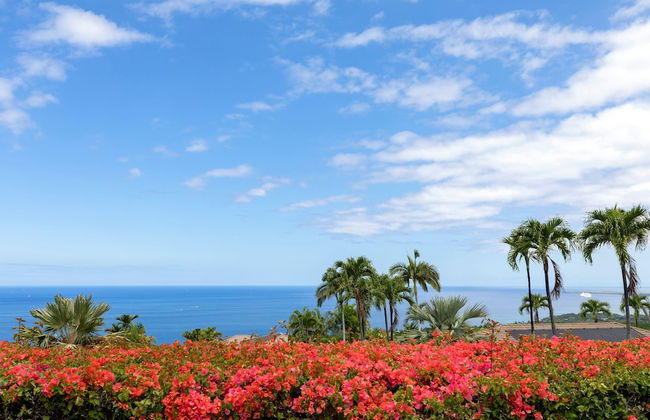 Hale Nene Pool, Hot Tub & Ocean Views! - Foto 41