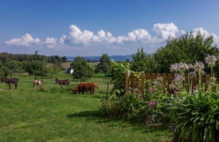 Ferienhof Siber - Photo 11