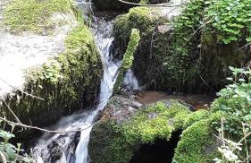 Jagdhaus Maja - Foto 35