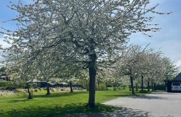 OstseeLiebe Garten, Terrasse und Strandnähe - Foto 2