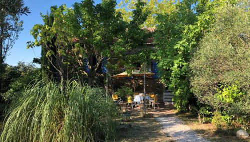 Mas Chataigner - La Jaune - Photo 4