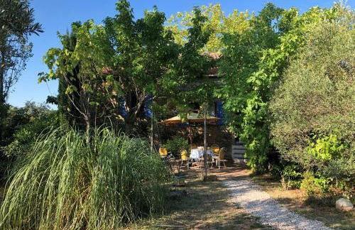 Mas Chataigner - La Jaune - Photo 4