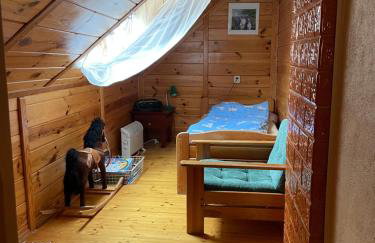 Dom na skraju Puszczy Białowieskiej - Foto 33