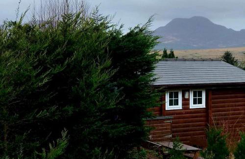 Misty Mountain Log Cabin - Trawsfynydd - Foto 19
