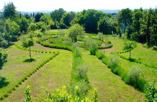 An Ancient Convento in Tuscany now With Pool for a Great Holiday - Foto 68