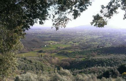 Fattoria Michela - Photo 21