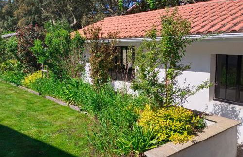 L'annexe des Cigales, à l'ombre des chênes lièges - Foto 27