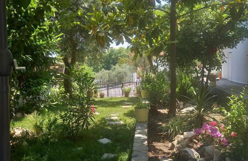 La Casa Di Elena - Foto 56