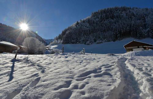 Coeur de Charmy pour 10 avec Spa - Foto 2