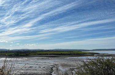 Garden Place - Foto 16