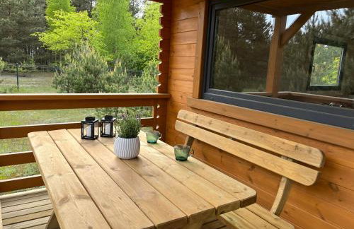 Domki Sosnowy Zakątek Swornegacie - Foto 30