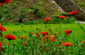 The Carriage - A first class experience - Foto 37