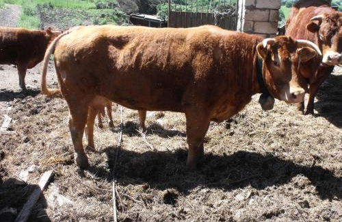 Agriturismo Sa Tanca Noa - Photo 85