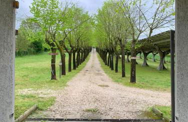 Casale Sciarra - Foto 1