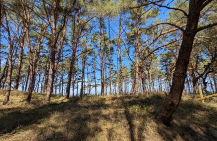 Apartamenty Morze Wygody - Foto 20