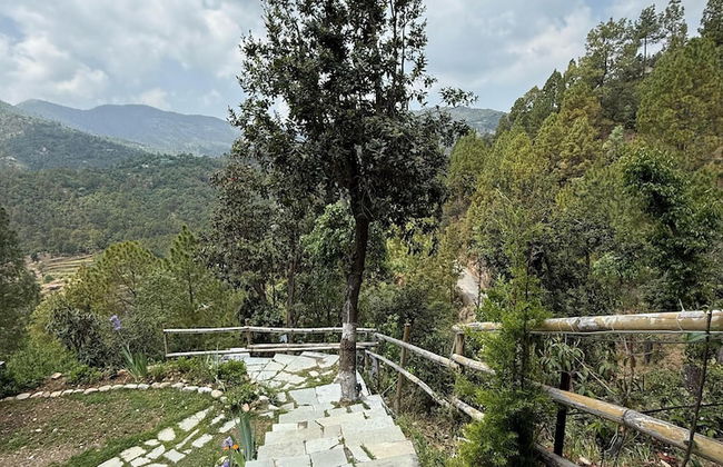 Rasberry Homes - Foto 40