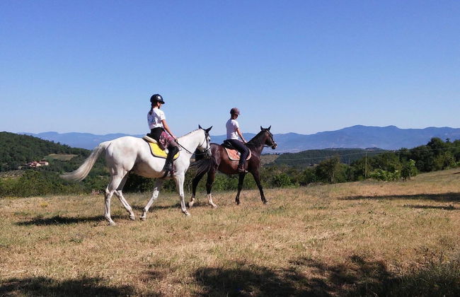 Belvilla by OYO Giuditta - Photo 39