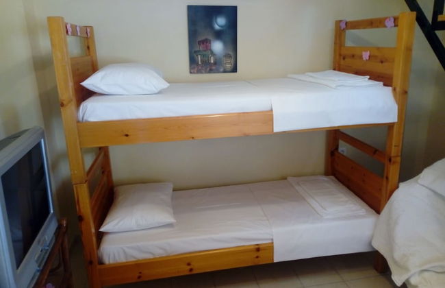 Garden Of Olive Trees - Photo 7