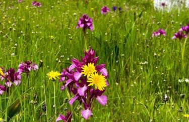 Casa da Curva - Foto 54