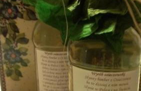 Agroturystyka Burylowka - Foto 42