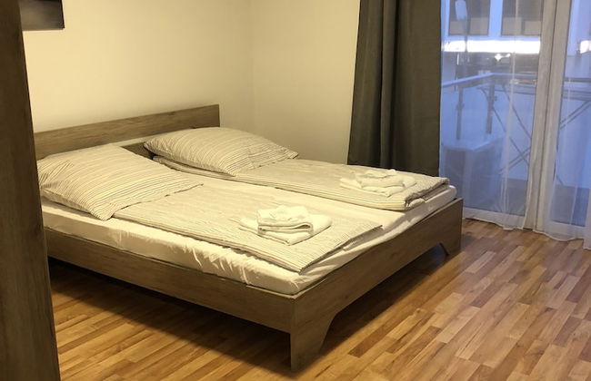 Sahara Falcon - Foto 20