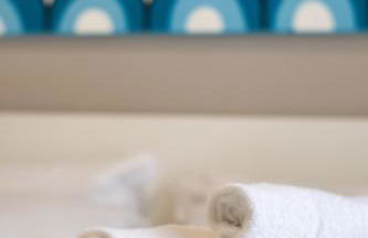 The Lake Whale - Foto 20