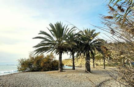 Happy Holidays Villajoyosa by Bookaparadise - Foto 28